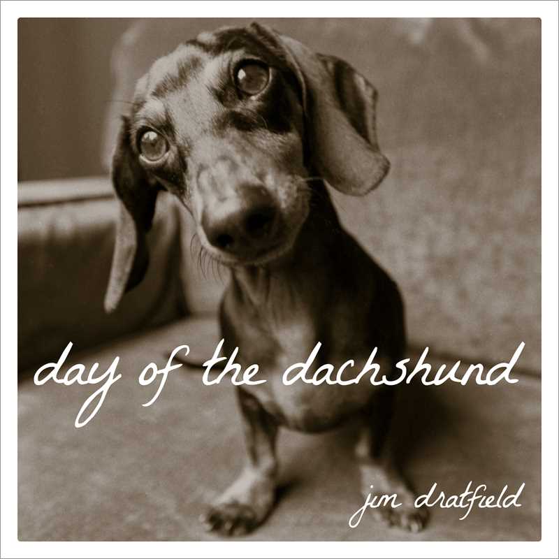 Day of a Dachshund