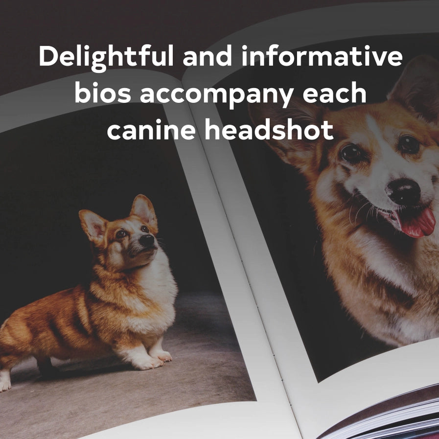 Year of the Dogs Book