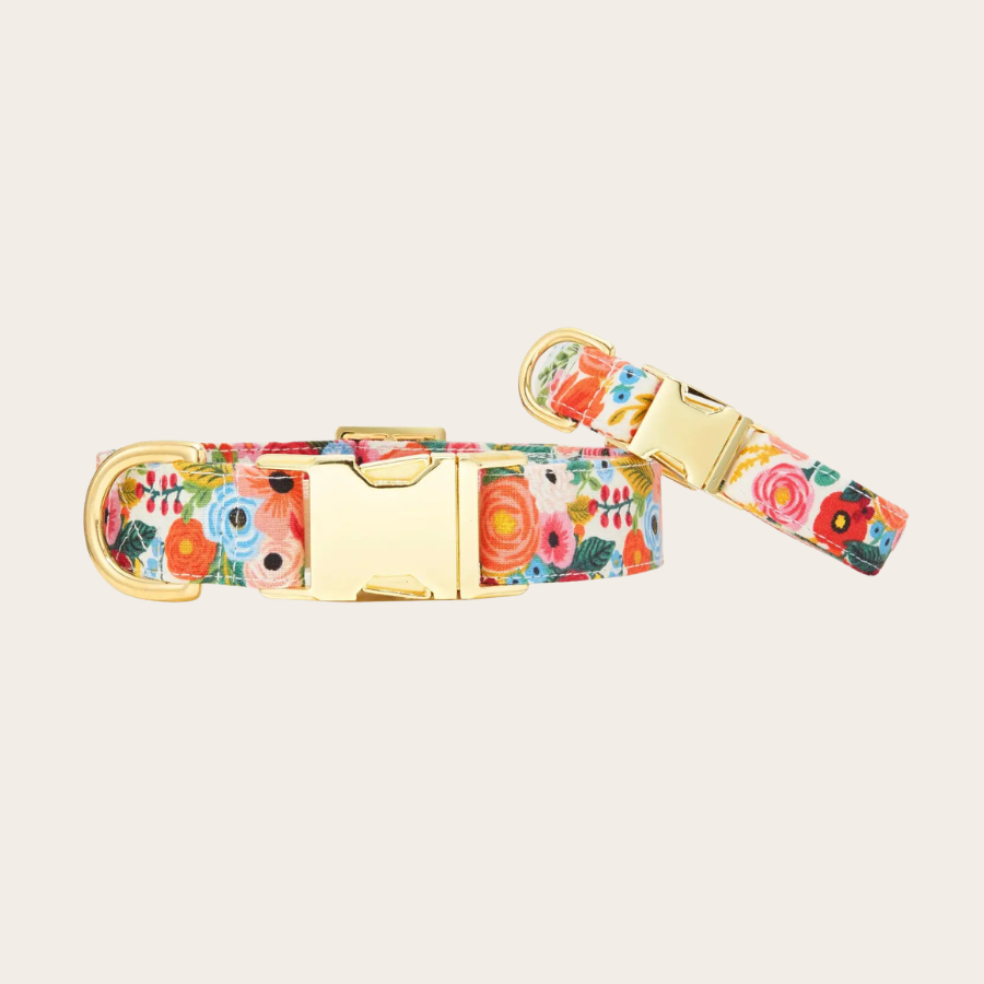 Garden Party Dog Collar