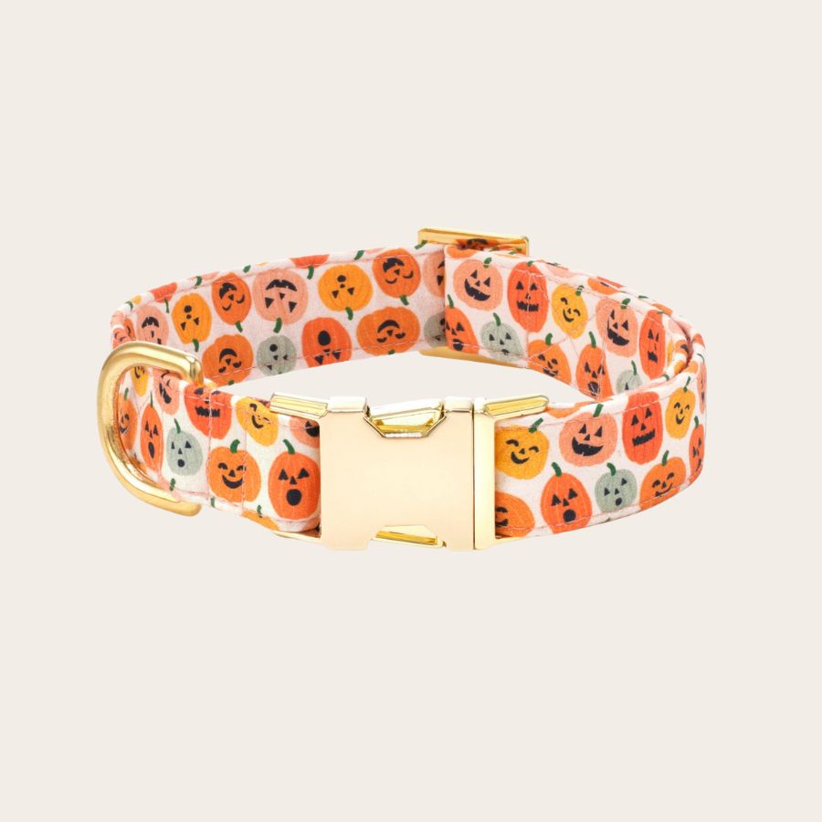 Jack-O'-Lanterns Halloween Dog Collar