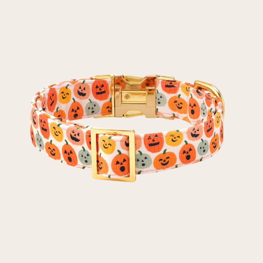 Jack-O'-Lanterns Halloween Dog Collar