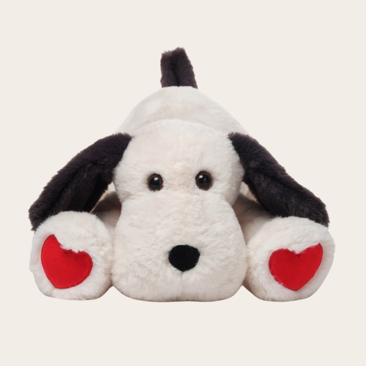 Valentine's Day Puppy