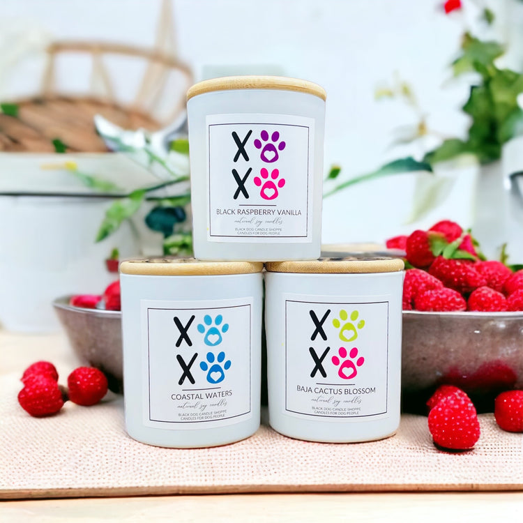 XOXO Candle Collection