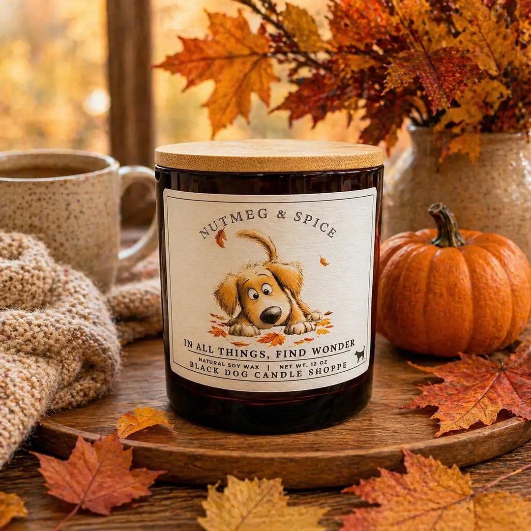 In All Things Find Wonder - Nutmeg & Spice Double Wick Amber Candle