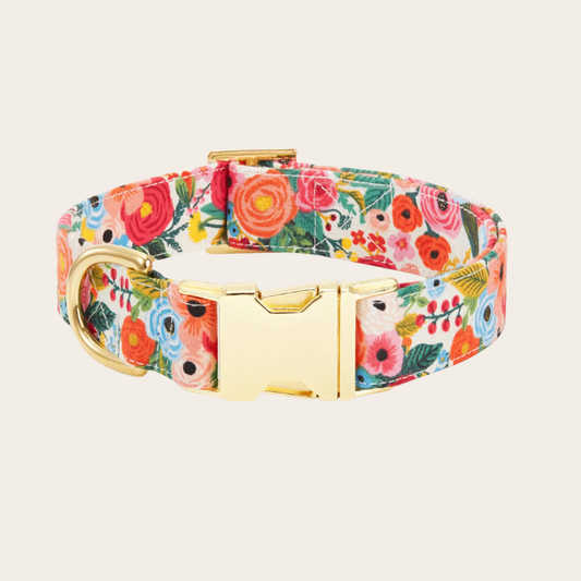 Colorful floral dog collar with bright red, orange, blue, and pink flowers and gold buckle hardware, adjustable pet collar on neutral background