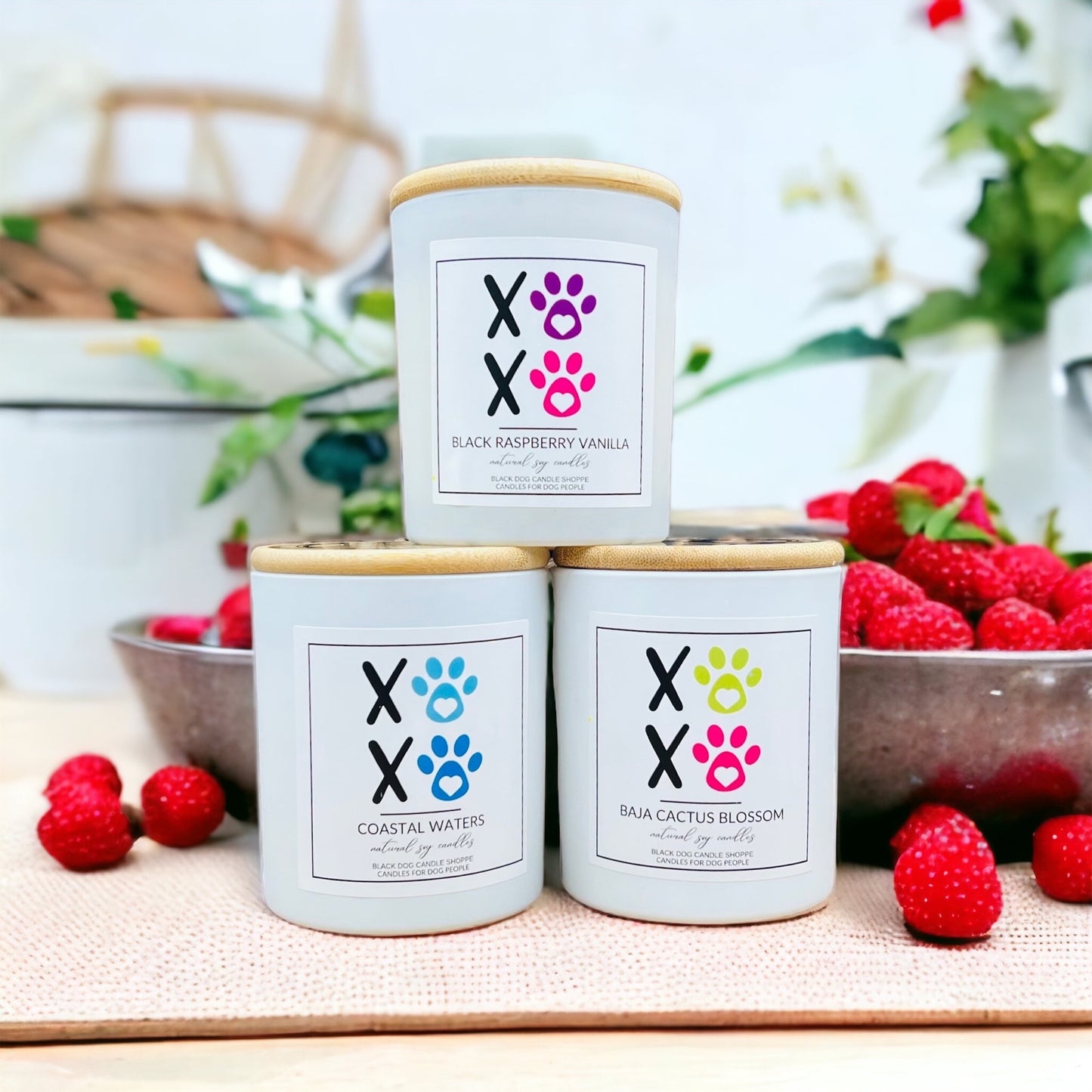 XOXO Black Raspberry Vanilla