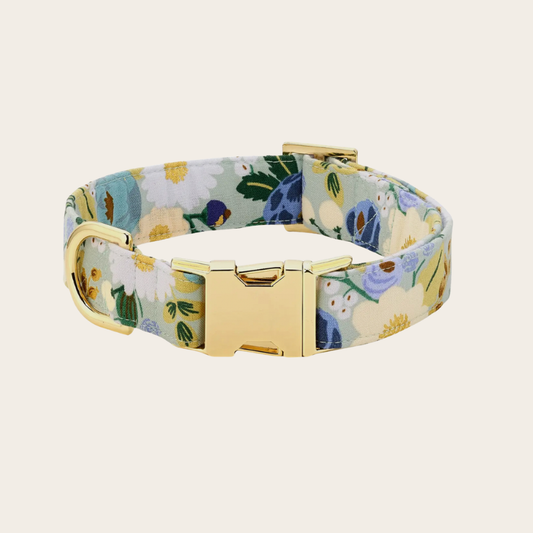 Floral dog collar with pastel blue, yellow, and green flower pattern and gold buckle hardware, adjustable pet collar on neutral background