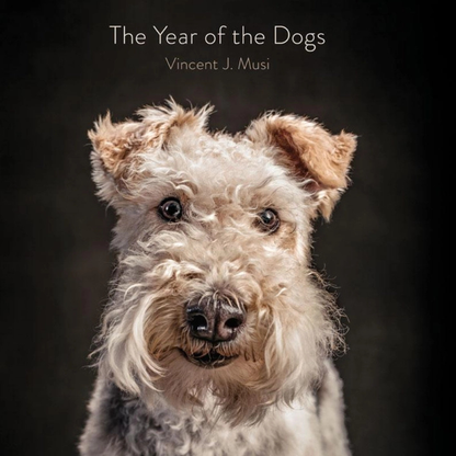 Year of the Dogs Book