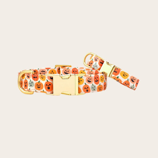 Jack-O'-Lanterns Halloween Dog Collar