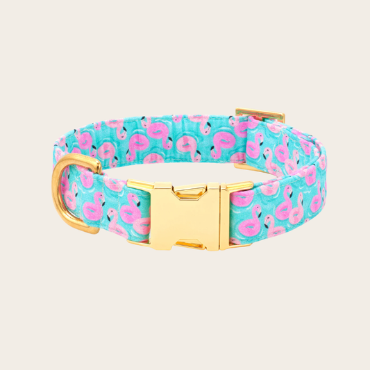 Flamingo Floaties Dog Collar