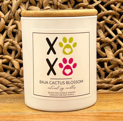 XOXO Baja Cactus Blossom