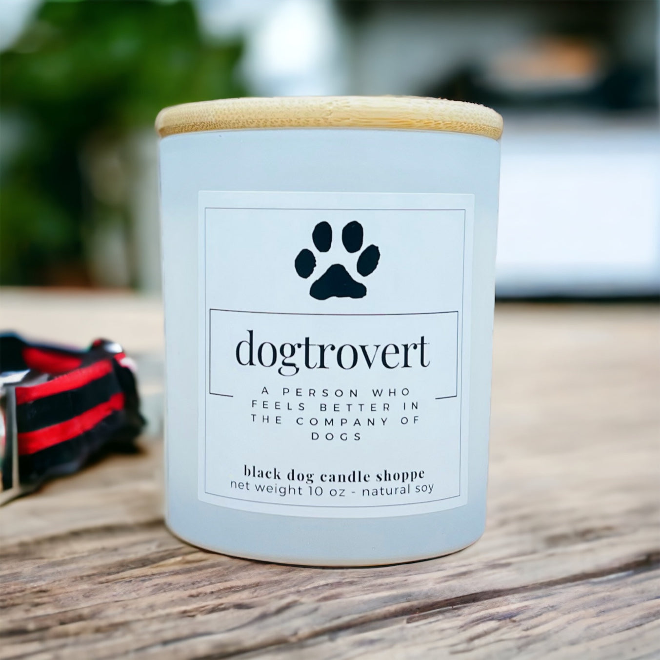 Dogtrovert Dog Lover Candle