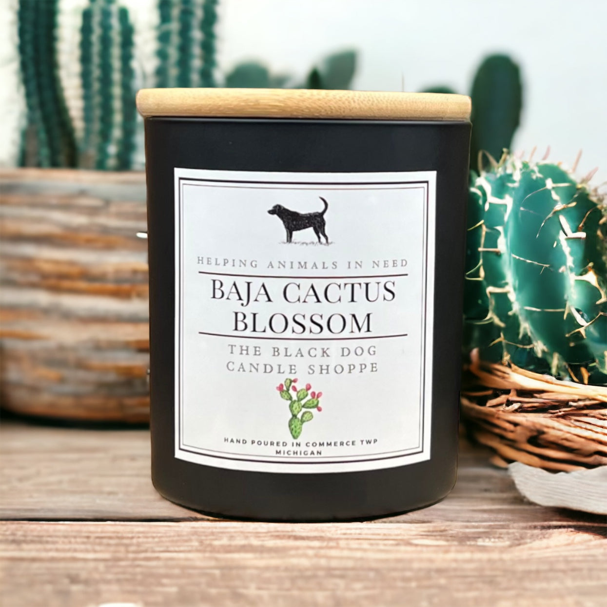 Baja Cactus Blossom Classic Candle