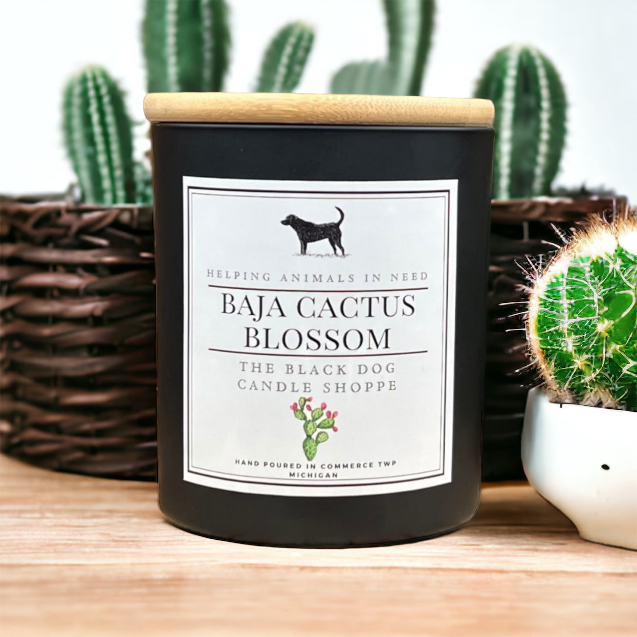 Baja Cactus Blossom Classic Candle