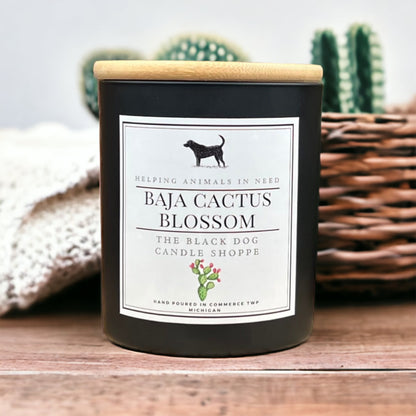 Baja Cactus Blossom Classic Candle