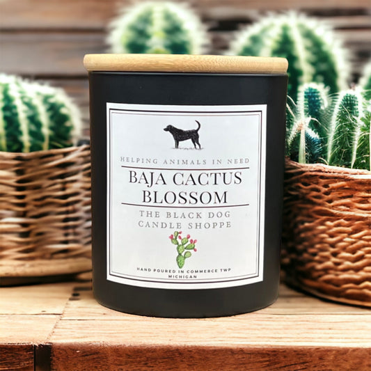 Baja Cactus Blossom Classic Candle