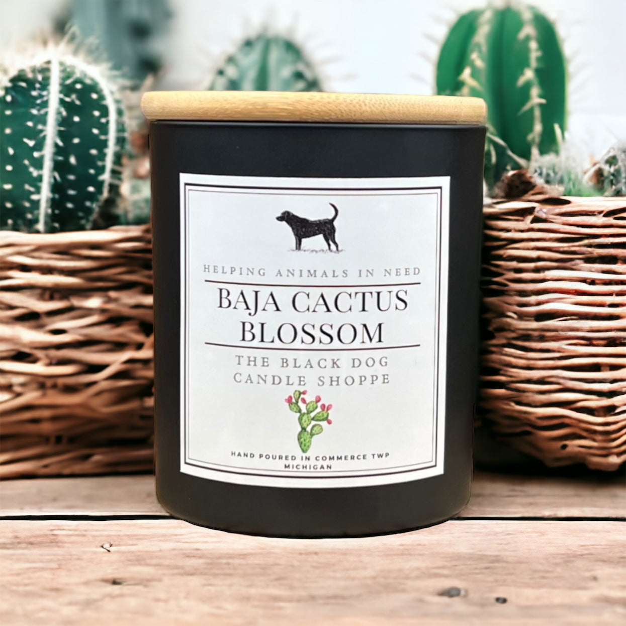 Baja Cactus Blossom Classic Candle