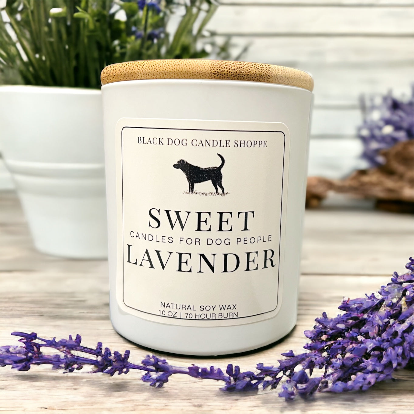 Candles for Dog People - Sweet Lavender