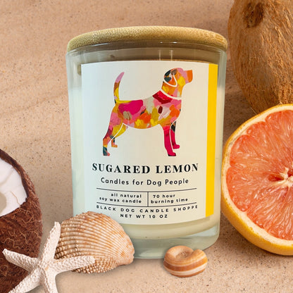 Modern Dog Candle - Sugared Lemon