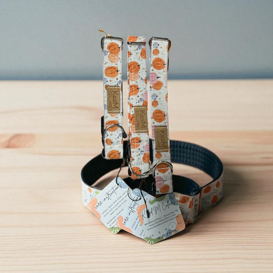 Watercolor Pumpkins Dog Collar, Pet Accessory