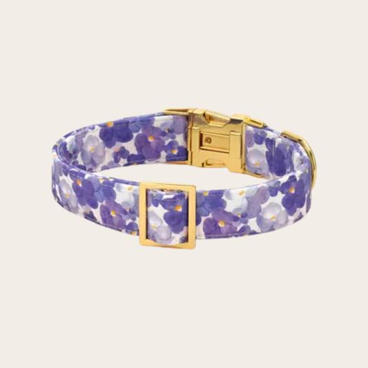 Purple floral dog collar with watercolor-style flower pattern and gold buckle hardware, adjustable pet collar on neutral background