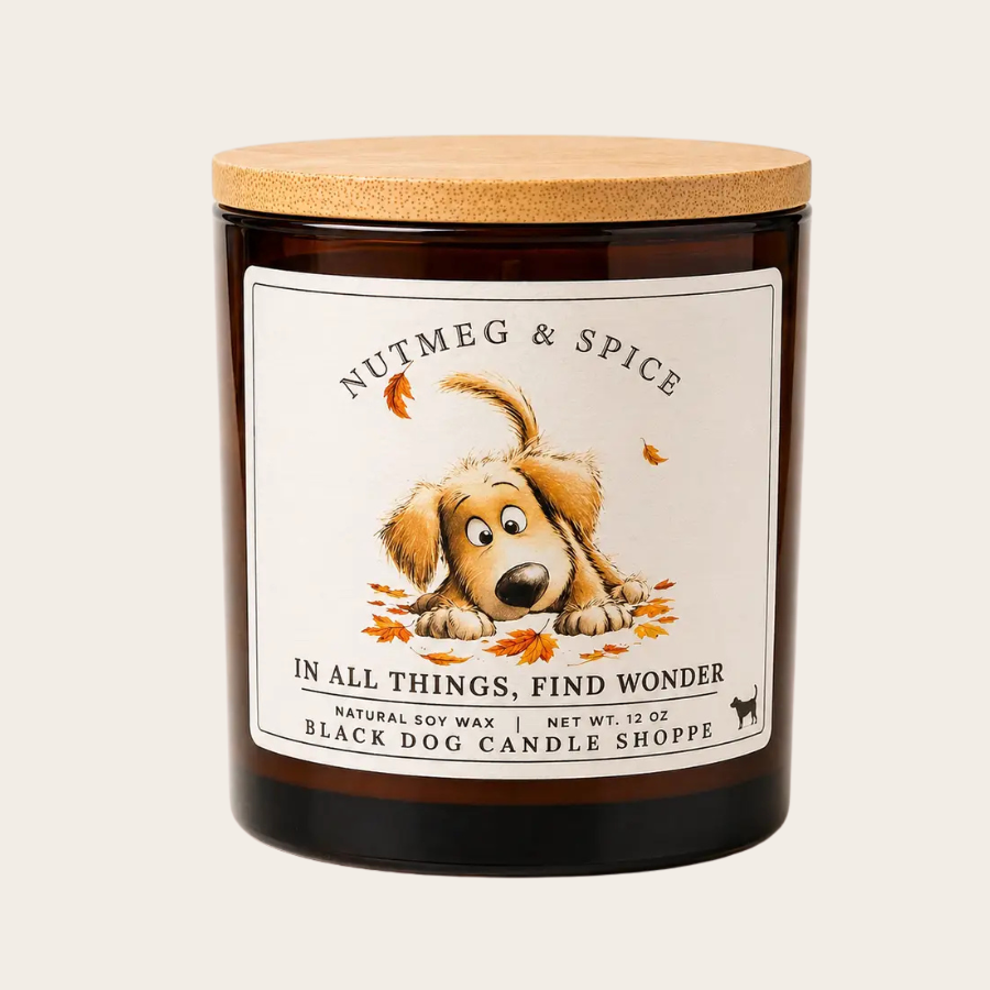 In All Things Find Wonder - Nutmeg & Spice Double Wick Amber Candle