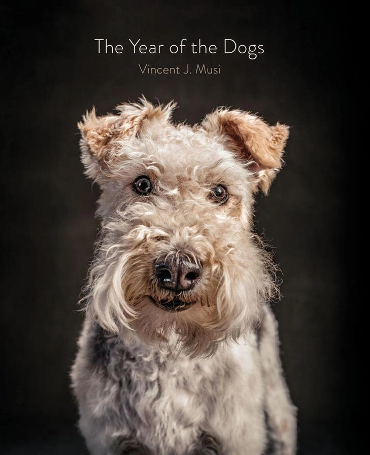 Year of the Dogs Book