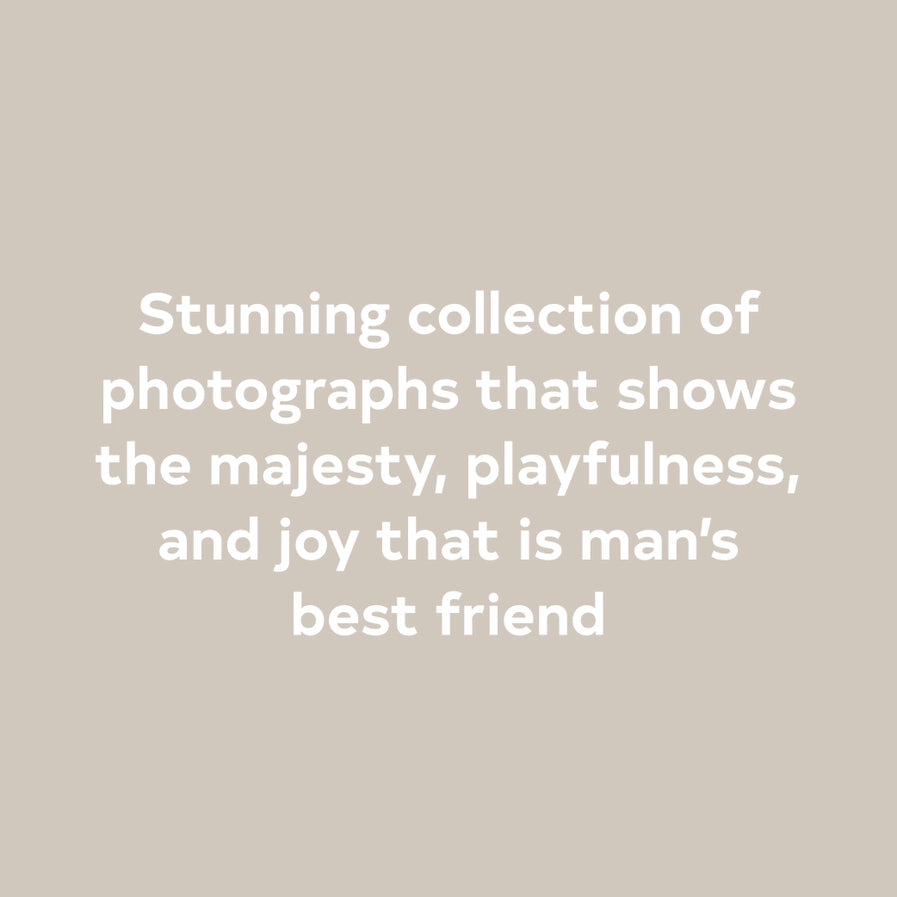 Year of the Dogs Book