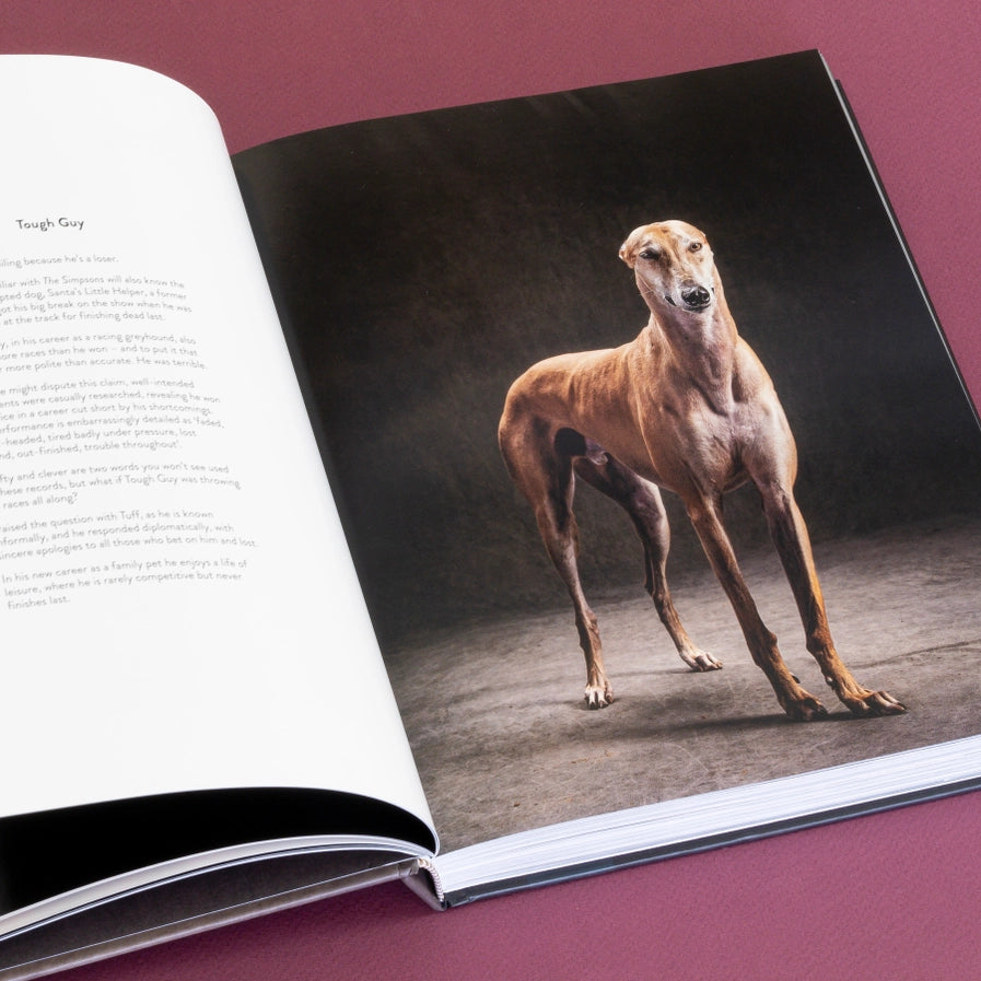 Year of the Dogs Book