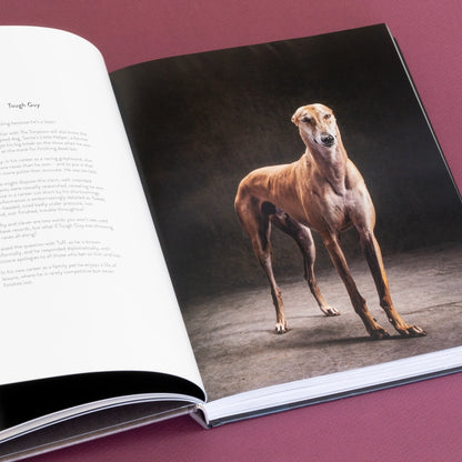 Year of the Dogs Book