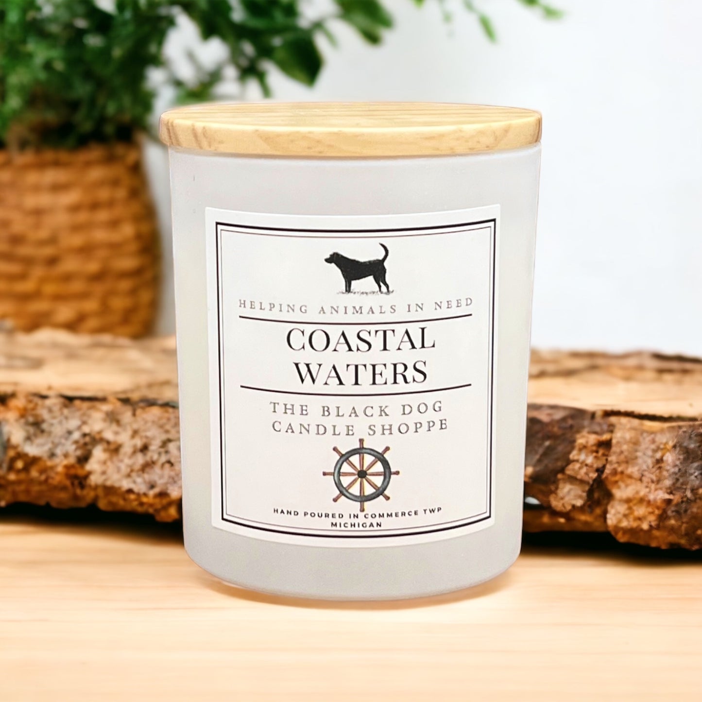 Coastal Waters Classic Candle