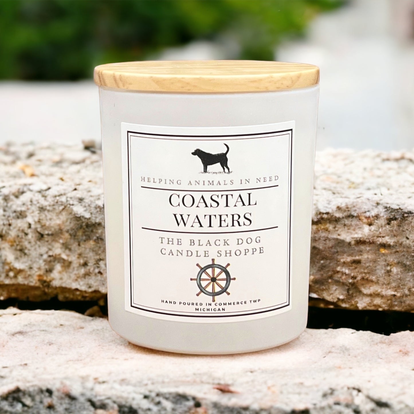 Coastal Waters Classic Candle