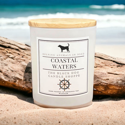 Coastal Waters Classic Candle