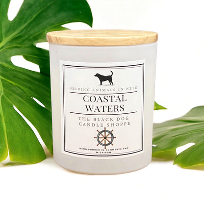 Coastal Waters Classic Candle