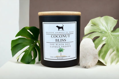 Coconut Bliss - Classic Candle