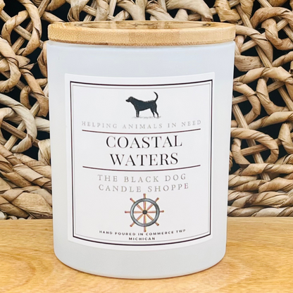 Coastal Waters Classic Candle