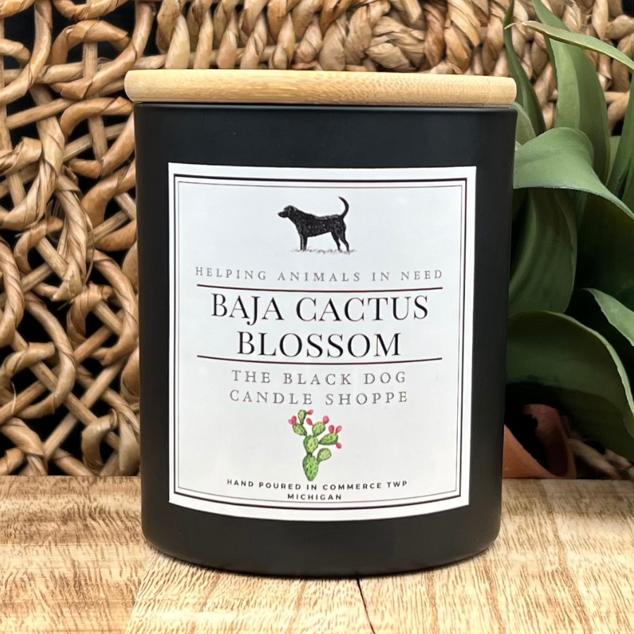 Baja Cactus Blossom Classic Candle